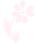 dsgn_974_flower3.png